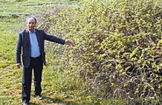 Çalının altından çıkan görenleri şok etti