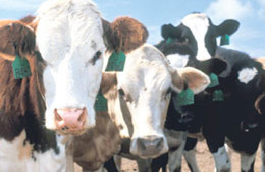 Ankara'da esrarengiz sabotaj