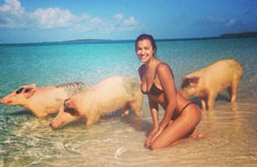 İrina Shayk'ın domuz selfiesi alay konusu oldu!