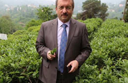 Çaykur çıldırdı! Kürtleri kaçak çaydan vazgeçireceğiz!