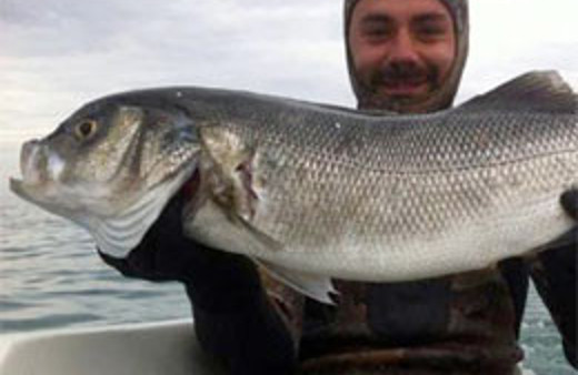 Görenleri şaşırttı!