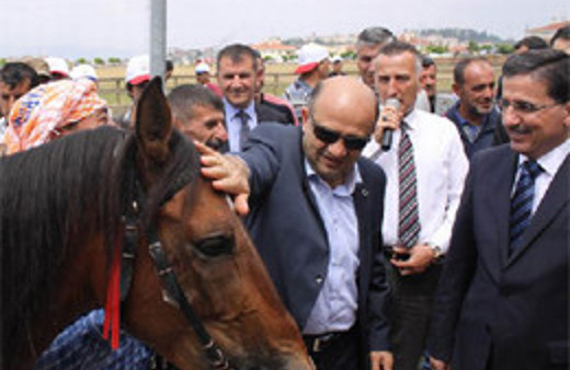 Bakan Işık'a Gölcük'te sürpriz hediye