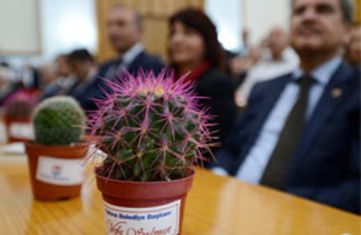CHP'li vekillere kaktüs getirdi YENİ HABER