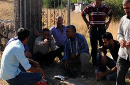 4 can bir kavak ağacı uğruna gitmiş