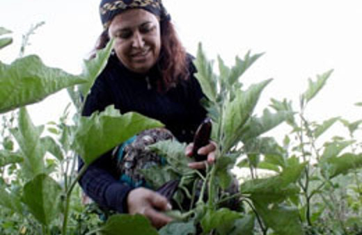 İsrail'in büyük projesini bitirecek çalışma