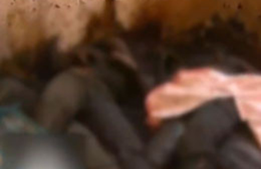 İsrail'in Huzaa katliamı kokunca çıktı!