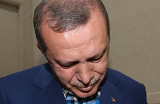 Başbakan'ın kedili fotoğrafı rekor kırdı