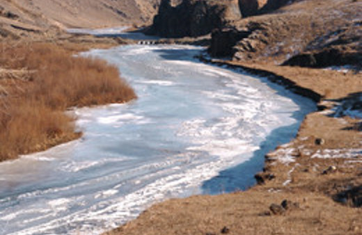 Kars çayında 2 metre 80 kiloluk dev balık!