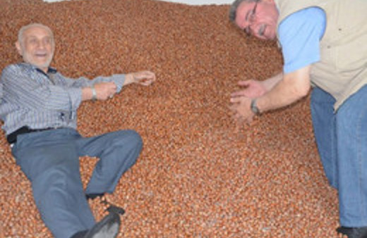 Fındık bu yıl cep yakacak