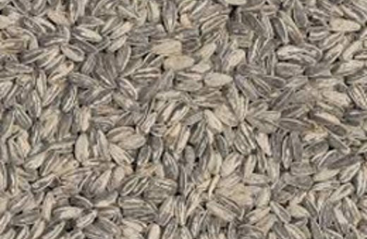 Avrupa'ya çekirdeği sevdirdik