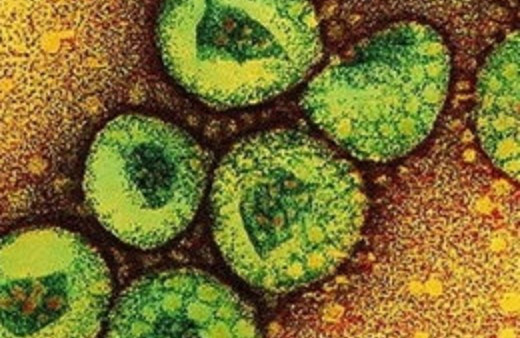 Corona virüsü can almaya devam ediyor