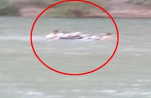 Siirt'teki piknik faciasının görüntüsü çıktı