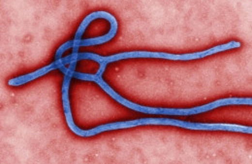 Karantinaya alınan hastada son durum