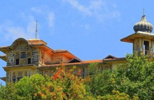 Vahdettin Köşkü'ndeki Ağaçlar Kesildi Mi?