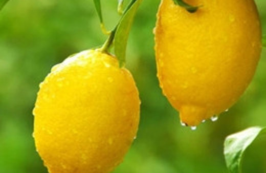 Fiyat artışlarında ilk sırada limon yer alıyor