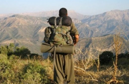 Mardin'de bir kadın terörist öldürüldü