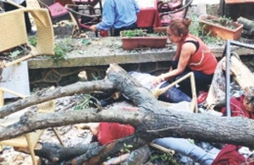Üzerine ağaç devrilen kadının dram dolu hikayesi...