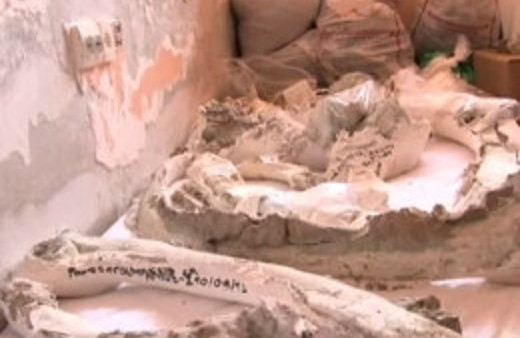 Çoban ihbar etti Çorum'da müthiş keşif