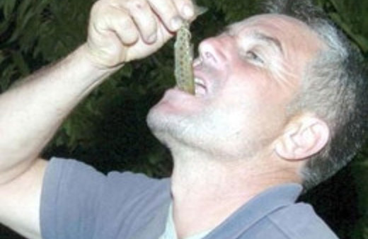 Balıkları canlı canlı yutuyorlar