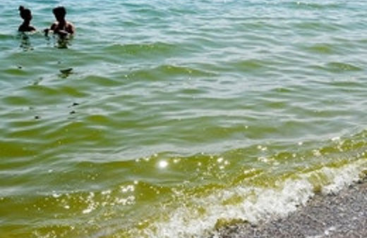 Konyaaltı'nın neden yeşile döndüğü anlaşıldı!