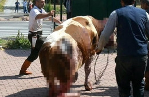 Kayseri'de sokak ortasında vahşet!