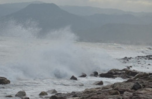 Sahilde odun toplarken kayboldu