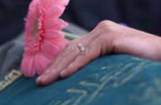 Domuz gribine bir kurban daha