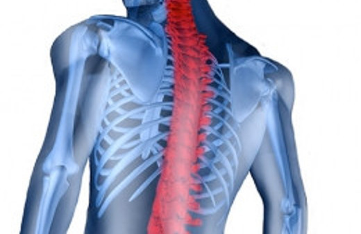 İki profesörden omurga ağrılarına çözüm
