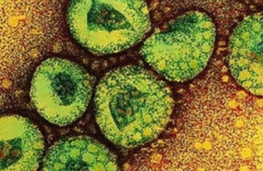 Türkiye'de 'corona virüsü'nden ölüm