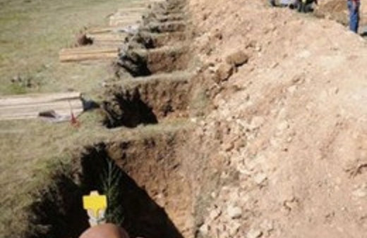 286 kadının cesedi bulundu