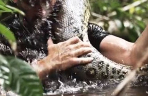 Dev anakonda sunucuyu yuttu!