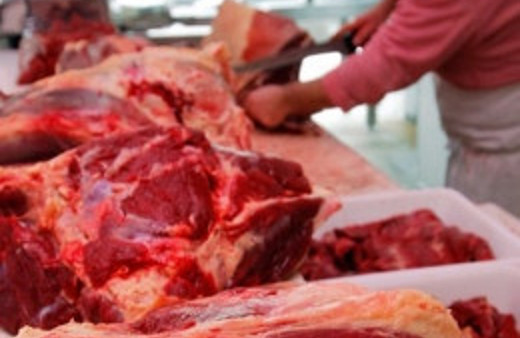 Burdur'da 205 kilogram at eti ele geçirildi