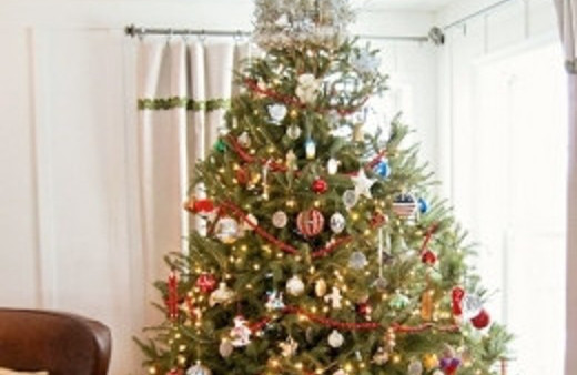 Meğer noelde süslenen çam ağacı...