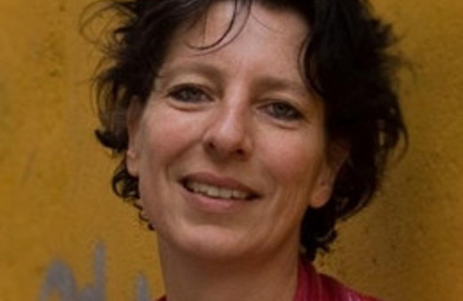 Hollandalı gazeteci Meclis gündeminde!