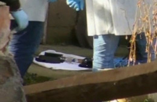 Hasköy'de gecekonduda silah ve mühimmat bulundu