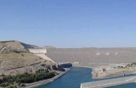 Atatürk Barajı'na otomobil düştü