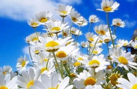 Cemre nedir? 2015 son cemre ne zaman düşecek?