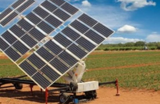 Türkiye'den tarımda bir ilk daha!