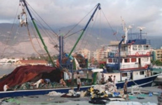 Av yasağı başladı