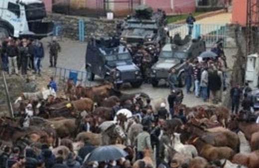 Vali'den ölü katırlar için intihar savunması