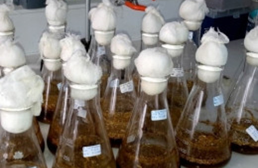 Kansere karşı yeni umut Türkiye'de