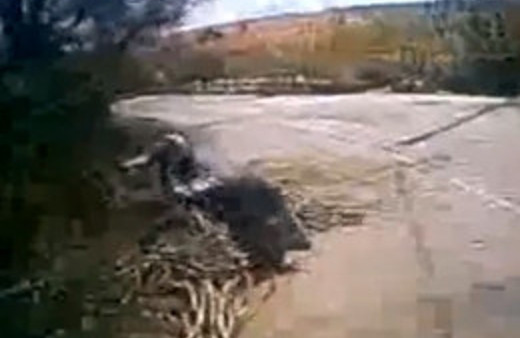 Halk otobüsü iki kadını böyle ezdi