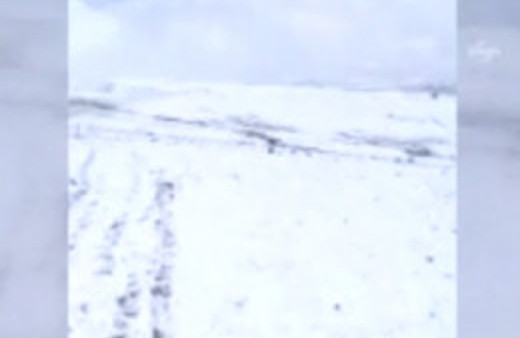 Ağrılı çobandan canlı yayın!