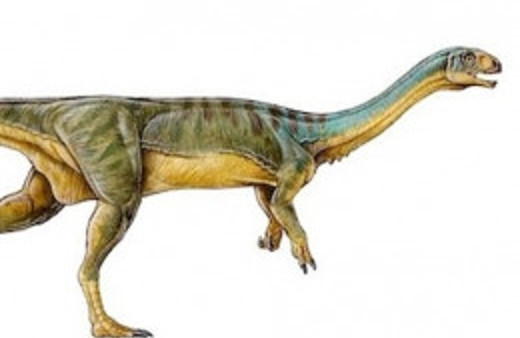 Farklı bir dinazor türü keşfedildi