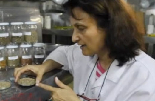 İsrail'in büyük projesini bitirecek çalışma