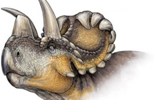 79 milyon yıllık dinozor fosili bulundu