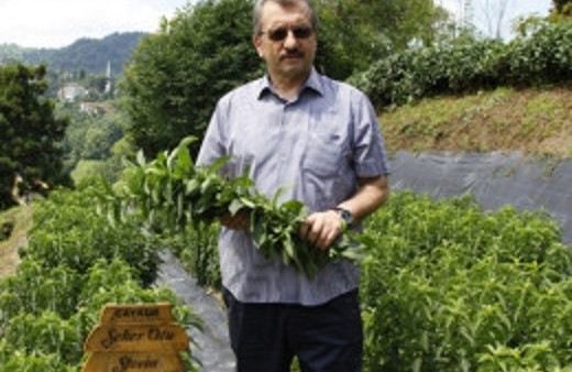 Rize'ye milyon dolarlık piyango!