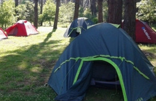 90 ülkeden 250 öğrenci kamp yapacak