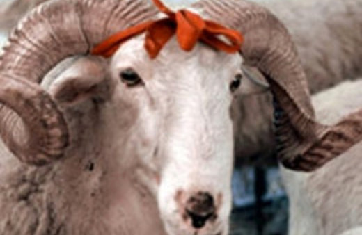 Kurban Bayramı için yeni düzenleme!