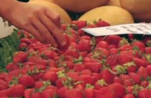 Çilekler koksun diye bakın ne sıkmışlar?